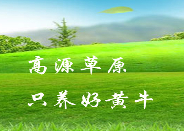 麻栗坡圓夢養(yǎng)殖場