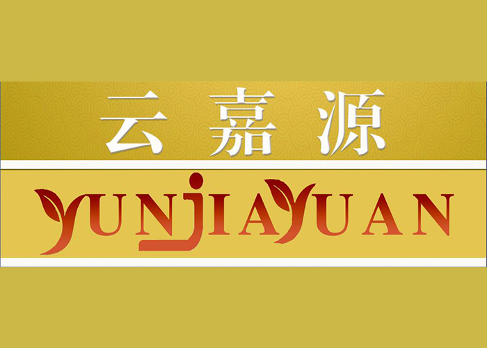 云嘉源