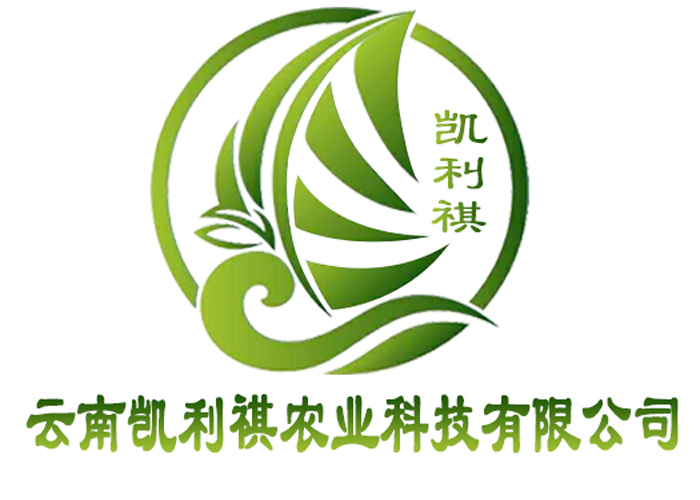 凱利琪