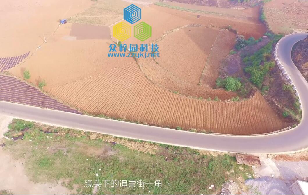 鏡頭下的追栗街
