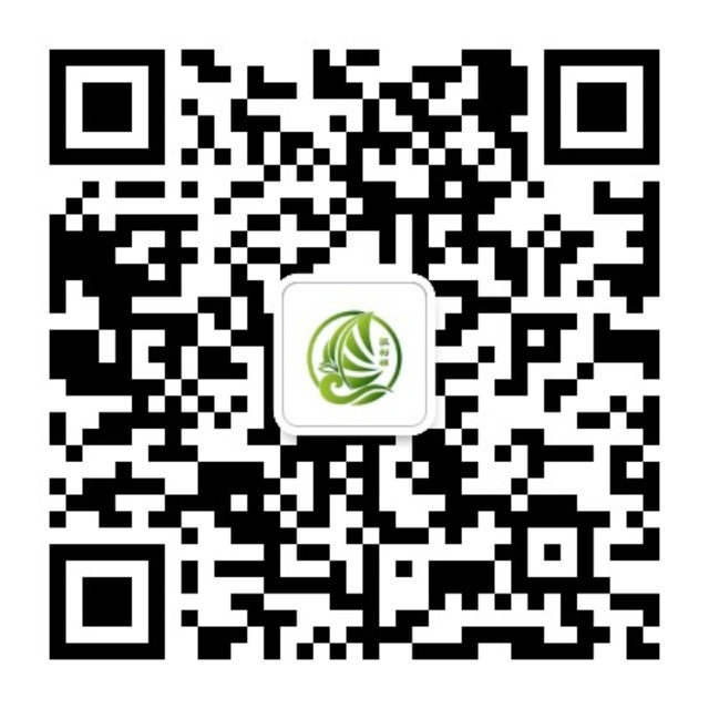 凱利琪