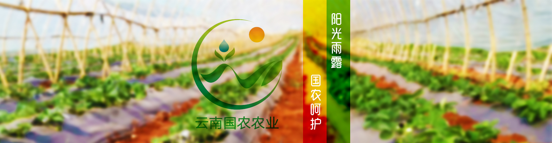 云南國農農業(yè)