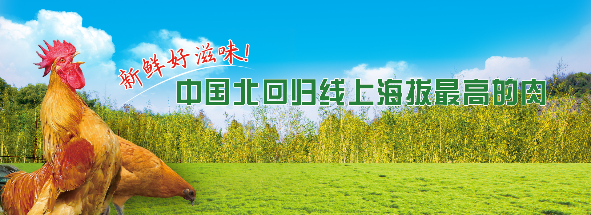 西麻土雞