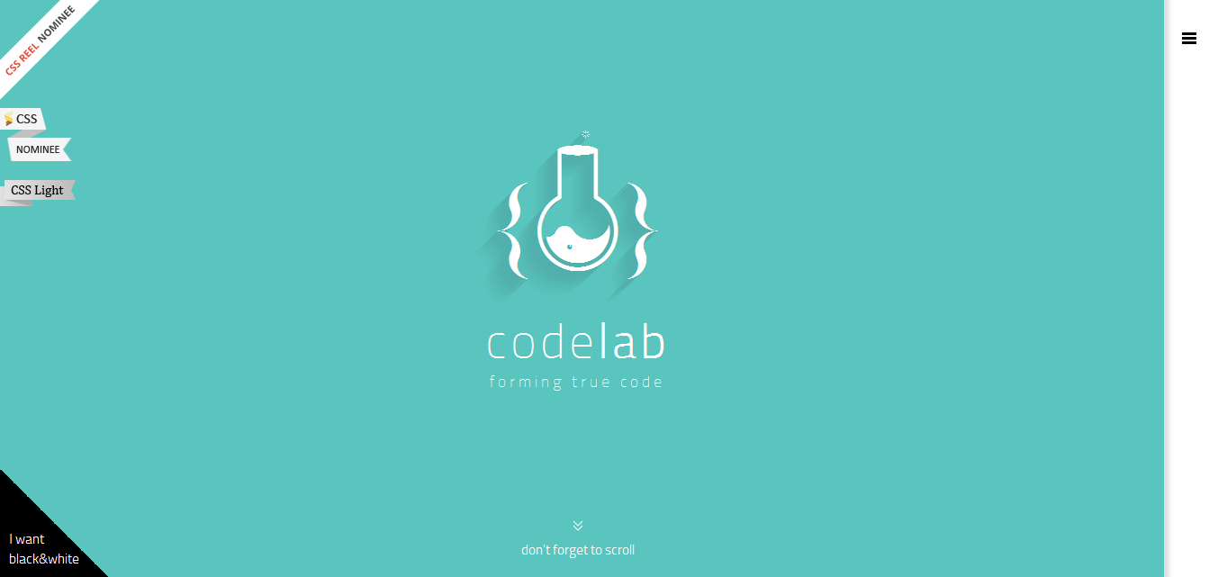 Code Lab-網(wǎng)站設計案例